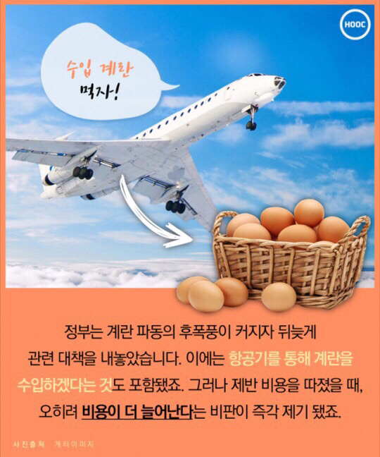 계란 하나도 마음놓고 못사먹는 나라 | 인스티즈