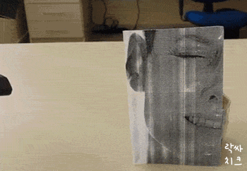 에일리언.gif | 인스티즈