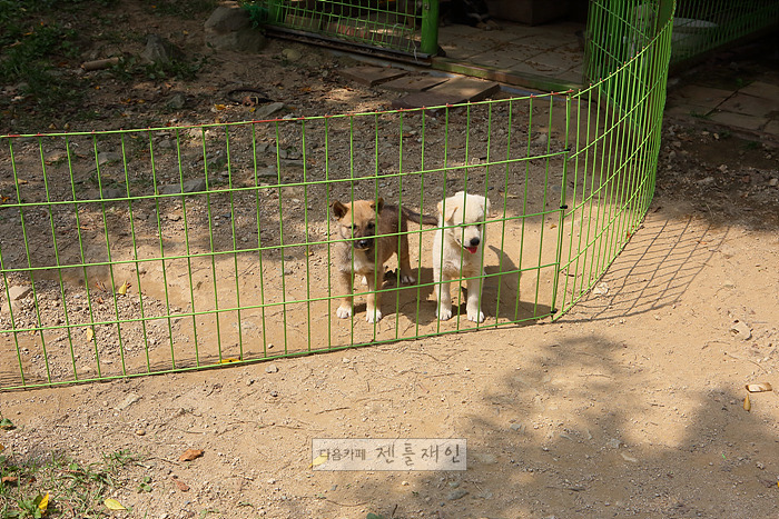문재인 대통령님 양산 자택 구경하기(+마루사진) | 인스티즈
