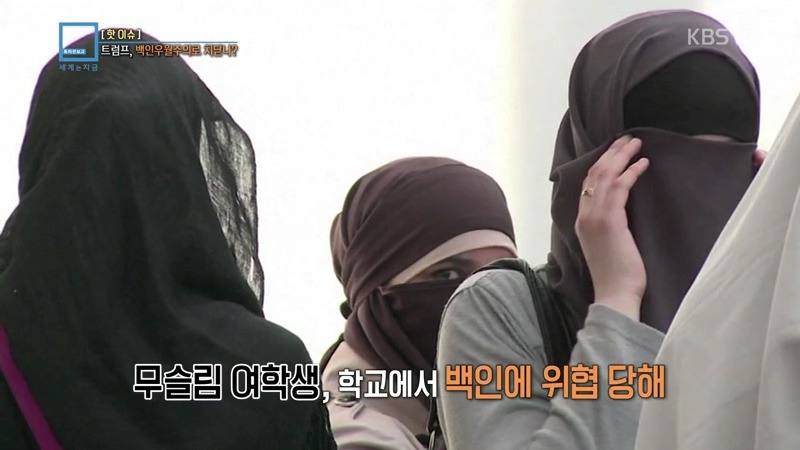 왜 미국 민주당은 트럼프가 백악관 수석 전략가로 지명한 스티브 배넌을 거부하는가 | 인스티즈