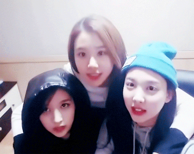 [트와이스] 미나 머리 쓰다듬는 걸크러쉬 채영이 ㅋㅋㅋ | 인스티즈