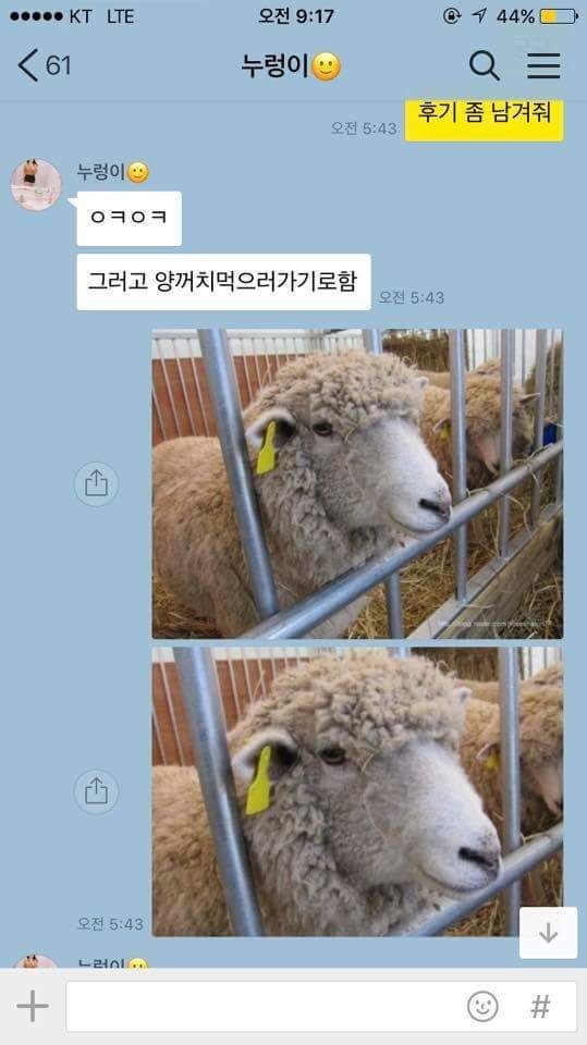 냉혹한 다이어트 도우미 | 인스티즈