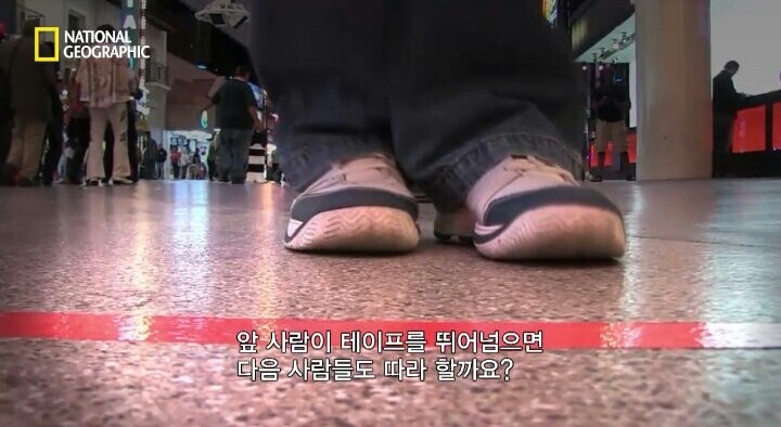 상당히 흥미로운 피리부는 사나이 실험(동조 실험) | 인스티즈