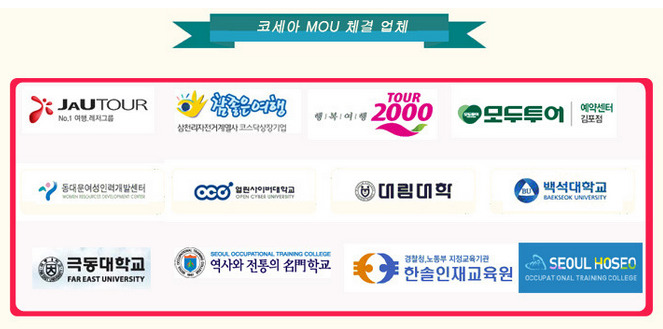 그린항공여행사 이미지