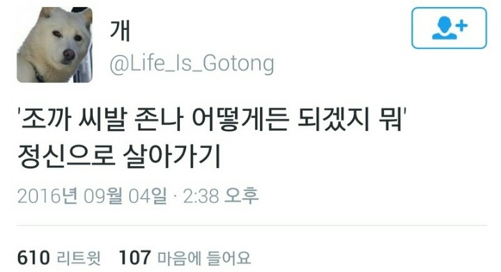 인생이 짜증날때 보면 좋은 짤 모음.jpg | 인스티즈