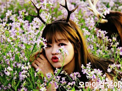 미국인의 시리아 여행기 | 인스티즈