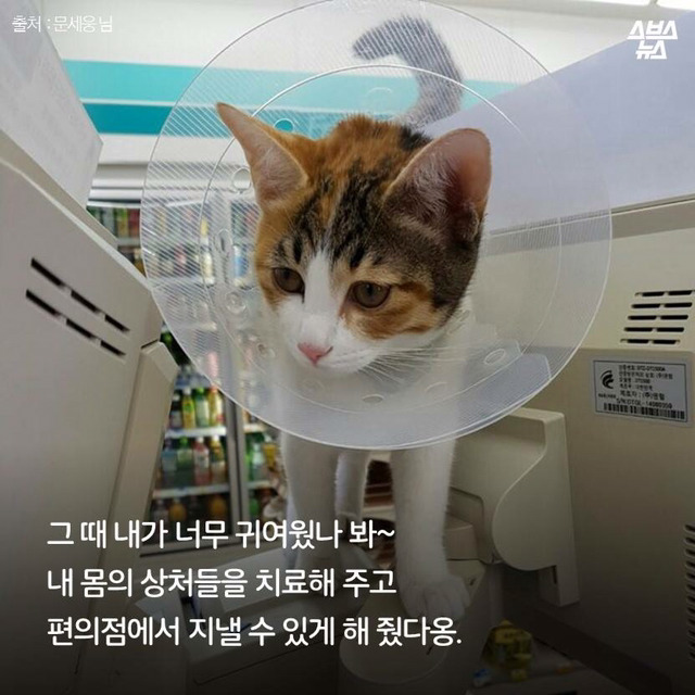편순이 처음 보냥? | 인스티즈
