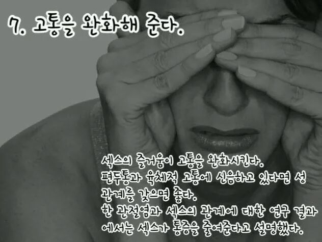 섹스를 매일해야하는 16가지 이유 | 인스티즈
