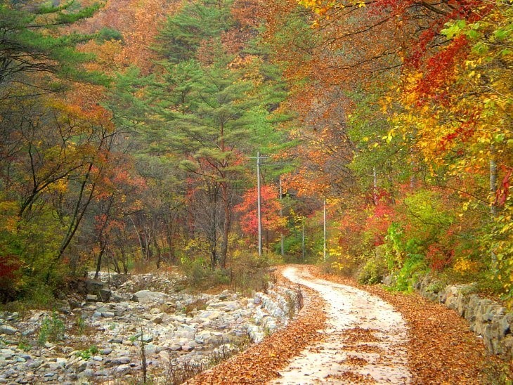 만경 이미지