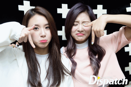 디스패치트와이스 | 인스티즈