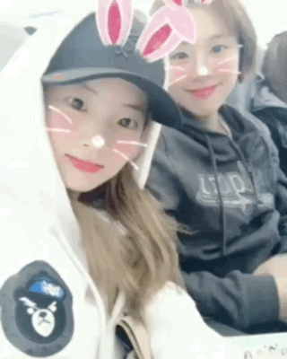 트와이스 다현X채영.gif | 인스티즈