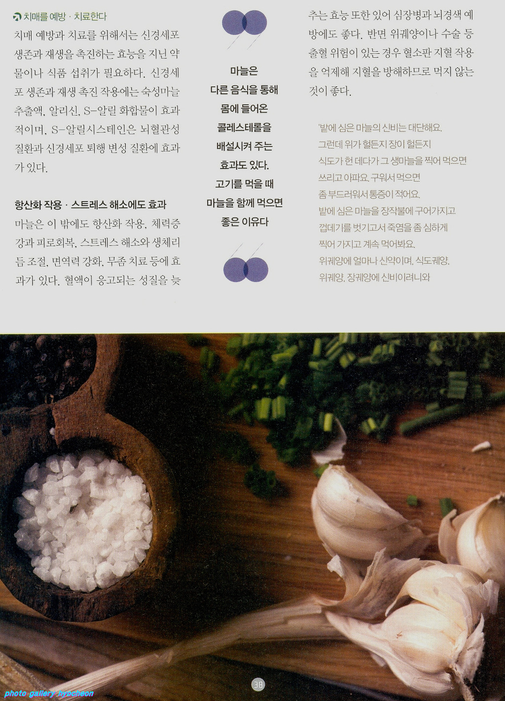 최강푸드 이미지