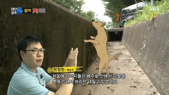 개를 구한 남자..jpg | 인스티즈
