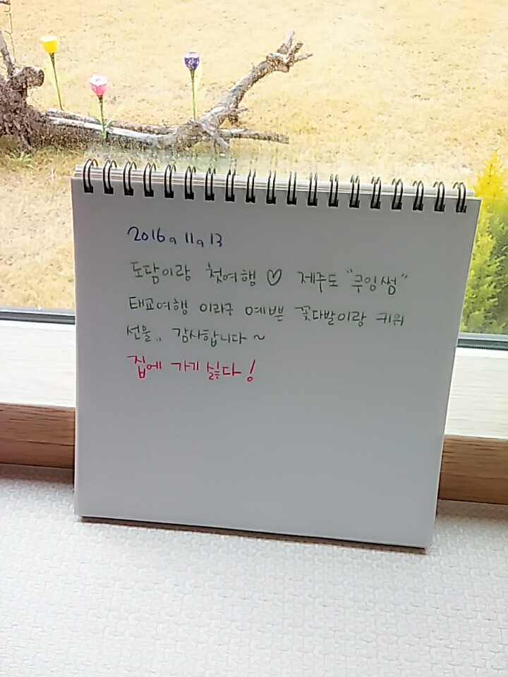 쿠잉 이미지