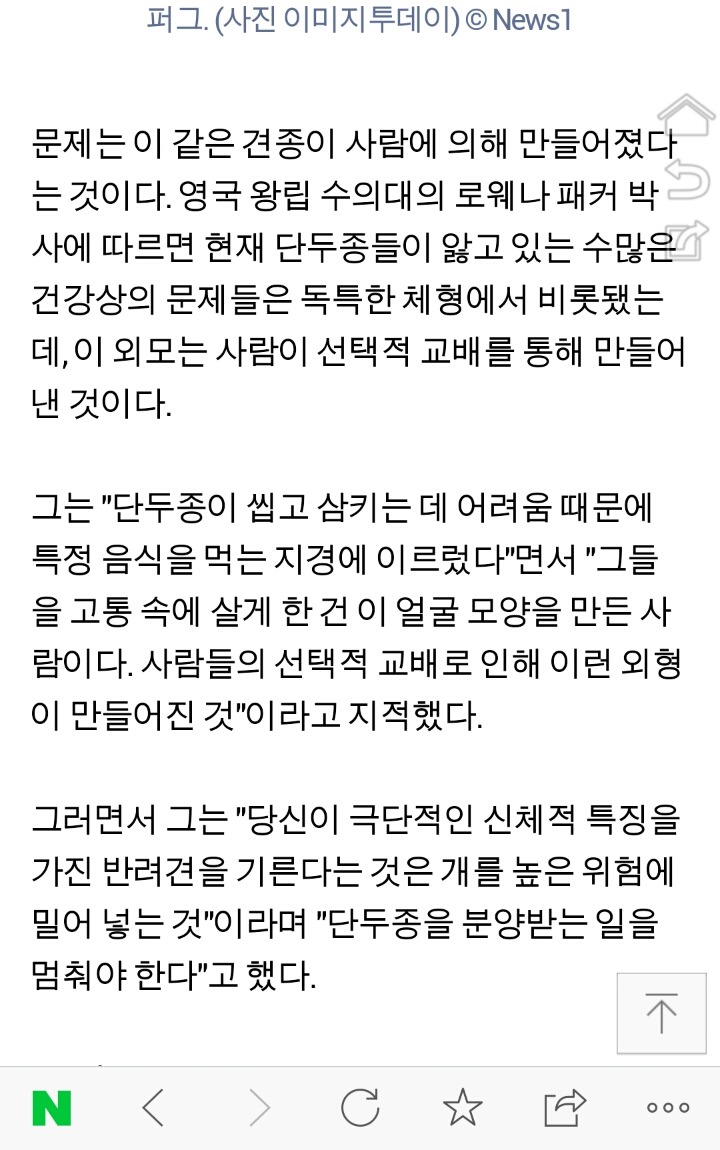 영국 수의사들 "코 눌린 개 키우지 마라" | 인스티즈