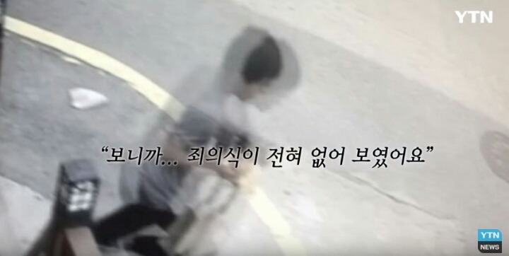 분노주의)웃는 얼굴로 새끼 고양이 내던지고 도망간 미친넘 | 인스티즈