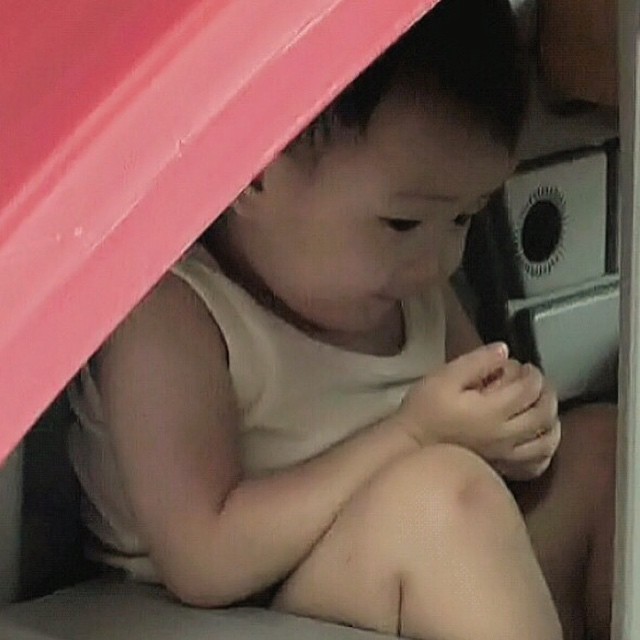 애교주머니를 가지고 태어난 모태귀요미 민국이 모음.gif (데이터주의) | 인스티즈