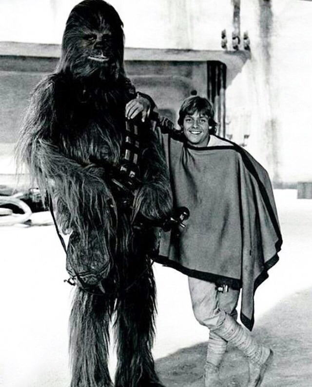 스타워즈 캐릭터 중 자신이 가장 좋아하는 캐릭터는? | 인스티즈