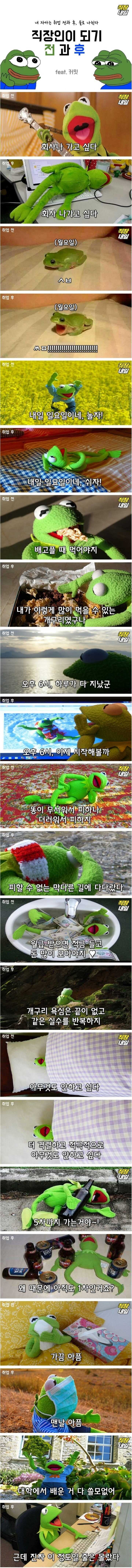 직장인이 되기 전과 후 | 인스티즈