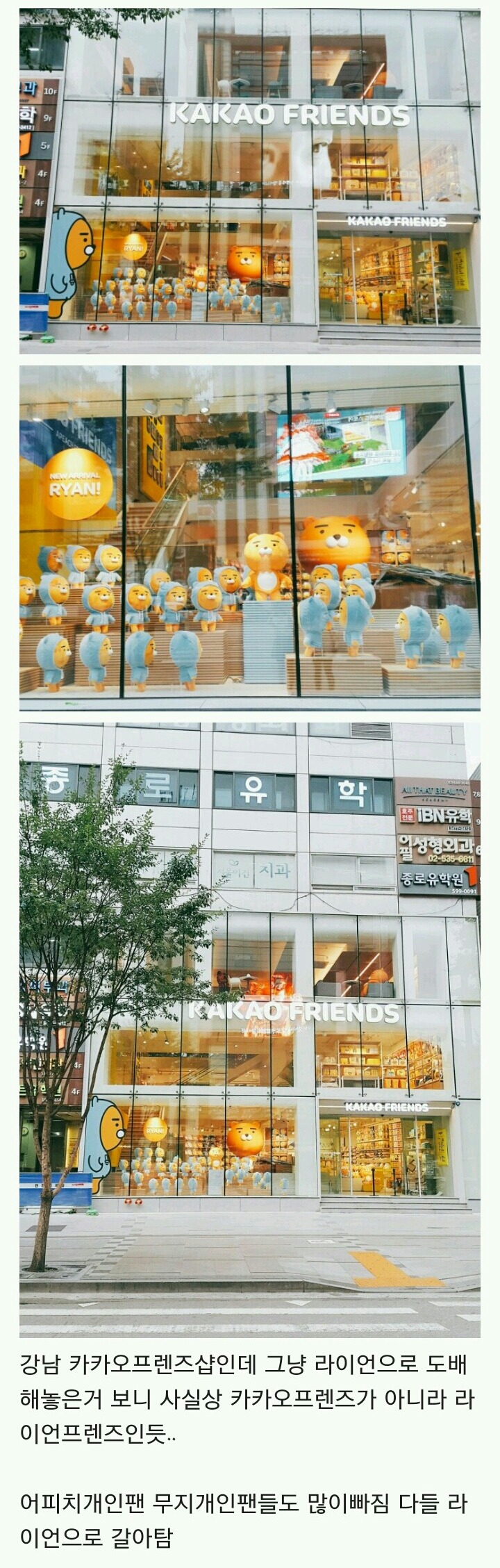 카카오프렌즈 사실상 원탑체제 굳힌듯..jpg | 인스티즈