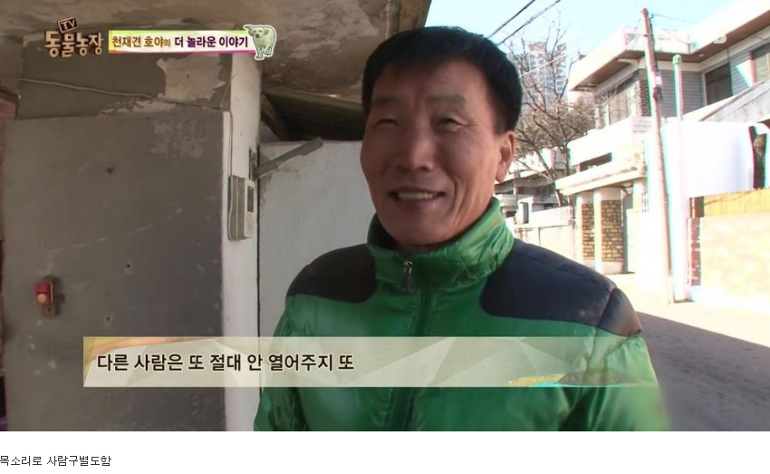 동물농장 완전 똑똑한 멍멍이 | 인스티즈