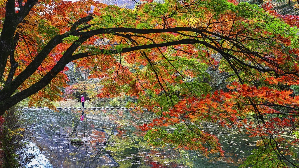 구례문화원 이미지