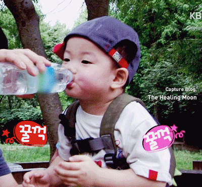 애교주머니를 가지고 태어난 모태귀요미 민국이 모음.gif (데이터주의) | 인스티즈