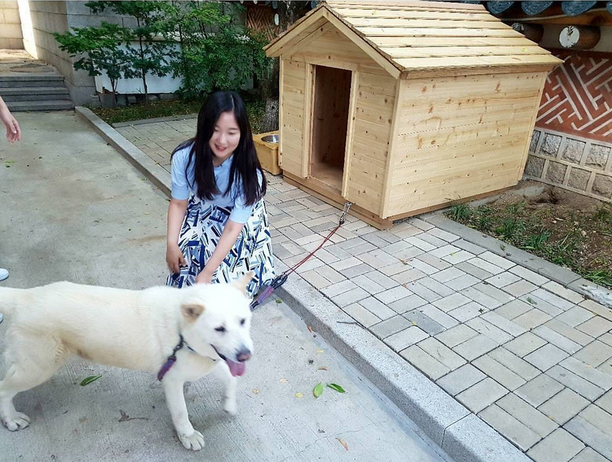 청와대 마루 근황.jpg | 인스티즈