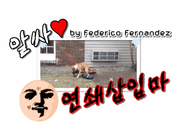 교정의 위엄.gif | 인스티즈