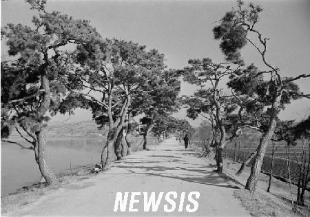 1950년대 수원의 모습.jpg | 인스티즈
