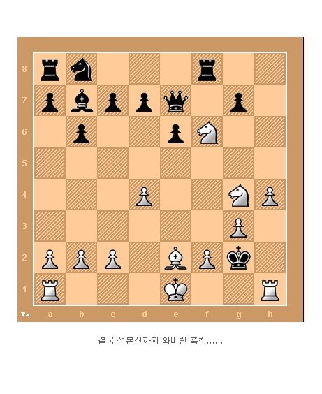 체스천재의 한수 | 인스티즈