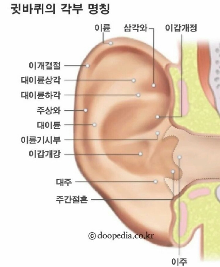 간단한 수족냉증 마사지 | 인스티즈