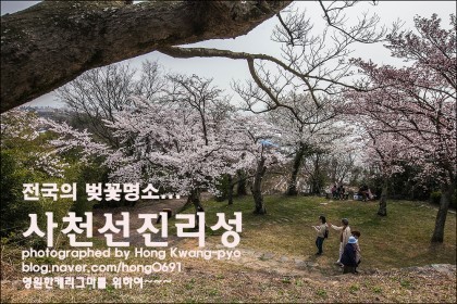 사천비연보존회 이미지