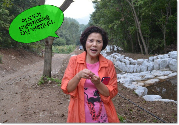 숲정 이미지