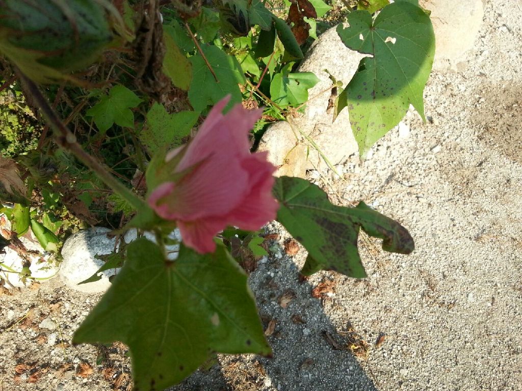 별마실 이미지
