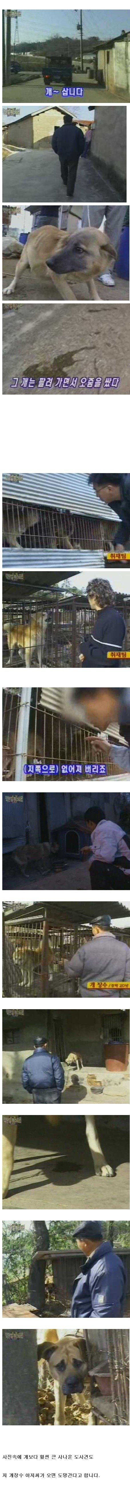 개도 개장수는 알아봄 | 인스티즈