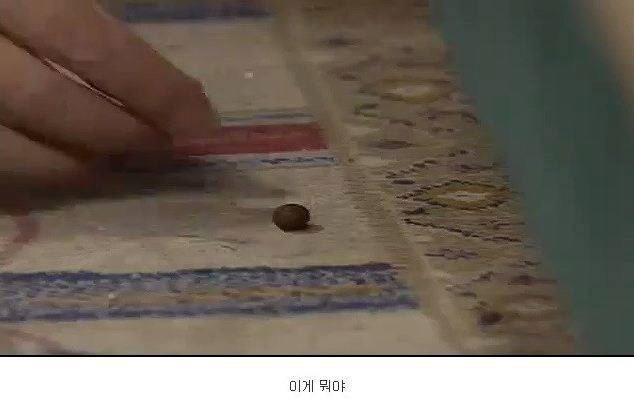 레전드 토끼사건 | 인스티즈