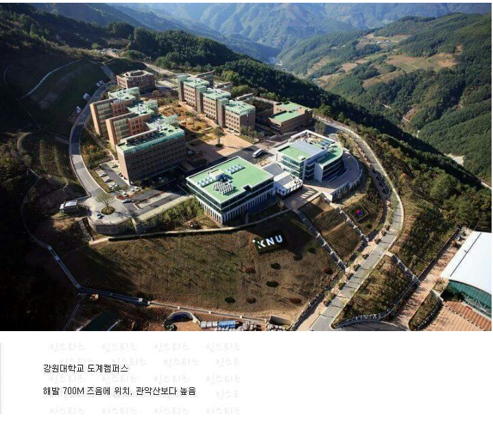 대한민국에서 가장 공기좋은 캠퍼스 | 인스티즈