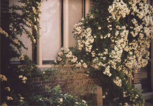  아,저 발자국 저렇게 푹푹 파이는 발자국을 남기며 나를 지나간 사람이 있었지 | 인스티즈