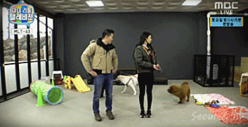 지금 하고 있는 마리텔 개방 컨텐츠.gif | 인스티즈