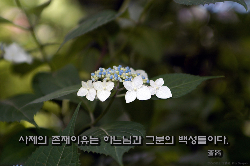 빵세상 이미지