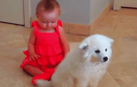 작정하고 귀엽고 사랑스러운 아기와 강아지 모음(심장녹아내림주의) | 인스티즈