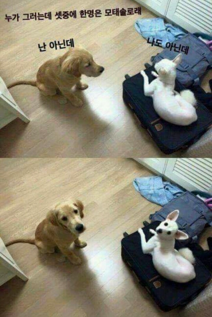 셋 중 하나는 모태솔로래... | 인스티즈