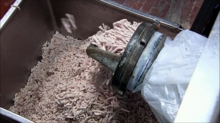 핫도그 소시지가 만들어지는 과정-1 | 인스티즈