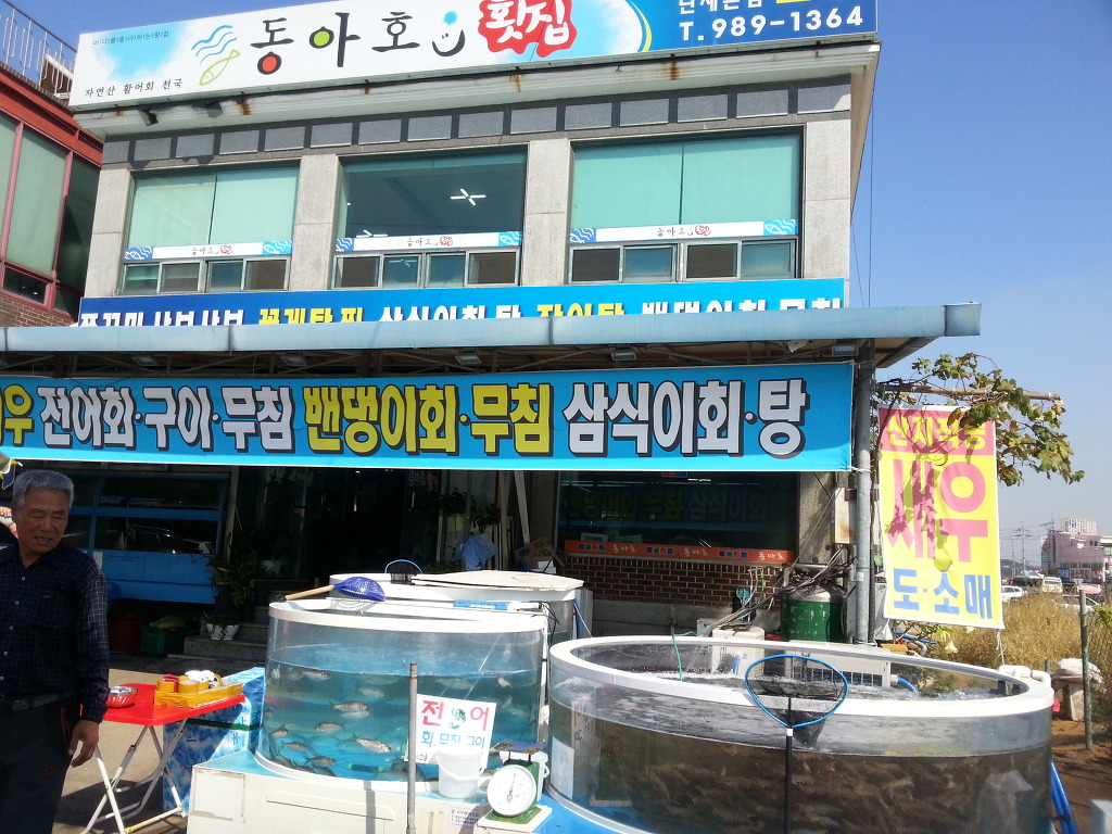 동아호 이미지