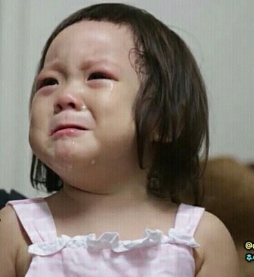반려동물 키우는 사람들의 흔한 고민거리 | 인스티즈
