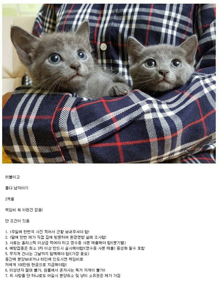 이해는 하는데 그래도 너무했다. jpg | 인스티즈