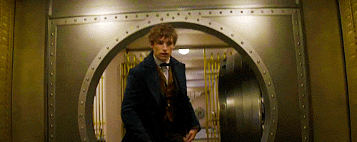 신비한 동물사전 최고의 씬 스틸러 | 인스티즈