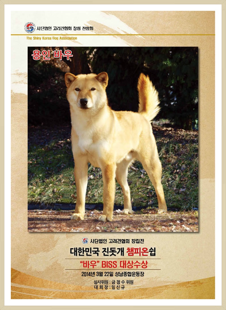 바우 이미지
