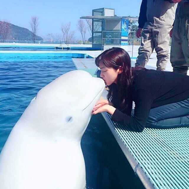남녀차별 오지는 돌고래 | 인스티즈